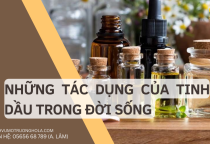 Tìm hiểu về tinh dầu và các tác dụng của tinh dầu trong đời sống Tìm hiểu về tinh dầu và các tác dụng của tinh dầu trong đời sống