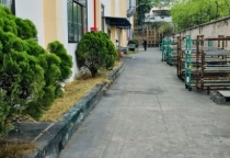 Kết quả cho việc chăm sóc bão dưỡng cây xanh