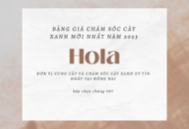 Bảng giá cho thuê cây xanh văn phòng mới nhất năm 2023 Bảng giá cho thuê cây xanh văn phòng mới nhất năm 2023