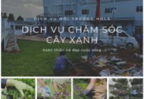 Bảng giá dịch vụ cung cấp nhân viên chăm sóc cây xanh 2023 Bảng giá dịch vụ cung cấp nhân viên chăm sóc cây xanh 2023