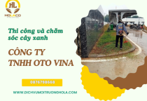 Thi công và chăm sóc cây xanh cho Công ty TNHH Oto Vina