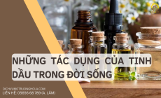 Tìm hiểu về tinh dầu và các tác dụng của tinh dầu trong đời sống