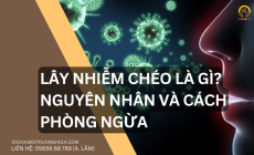 Lây Nhiễm Chéo Là Gì, Nguyên Nhân và Cách Phòng Ngừa