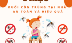 8 mẹo đuổi côn trùng tại nhà an toàn và hiệu quả