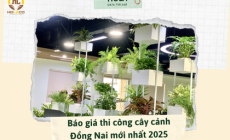 Bảng báo giá thi công cây cảnh tại Đồng Nai mới nhất 2025