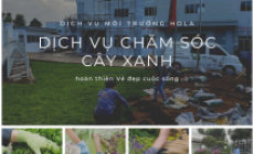 Bảng giá dịch vụ cung cấp nhân viên chăm sóc cây xanh 2023