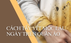 Cách Tẩy Vết Mốc Lâu Ngày Trên Quần Áo - Dịch vụ môi trường HOLA 