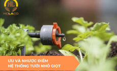 Ưu và nhược điểm của hệ thống tưới nhỏ giọt?