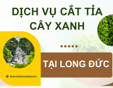 Dịch vụ cắt tỉa cây xanh tại Long Đức, Tỉnh Đồng Nai