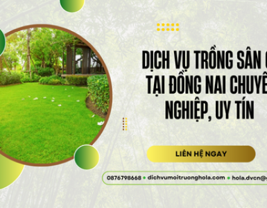 Dịch vụ trồng sân cỏ tại Đồng Nai – Chuyên nghiệp, bảo hành dài lâu