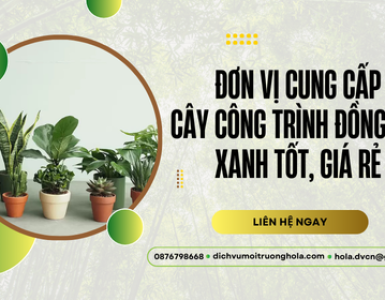 Đơn vị cung cấp cây công trình Đồng Nai xanh tốt, giá rẻ