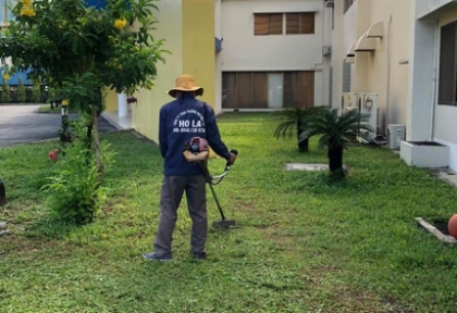 chăm sóc cây xanh khuôn viên công ty