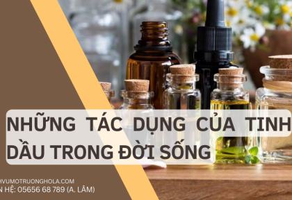 Tìm hiểu về tinh dầu và các tác dụng của tinh dầu trong đời sống
