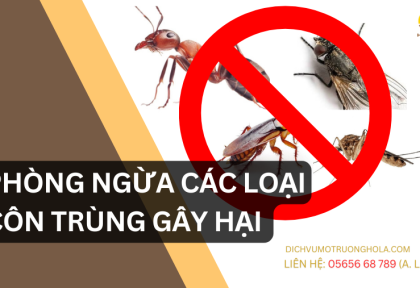Tìm Hiểu Các Cách Phòng Ngừa Các Loại Côn Trùng Gây Hại Cùng Dịch Vụ Môi Trường HOLA