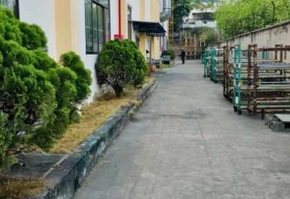 Kết quả cho việc chăm sóc bão dưỡng cây xanh