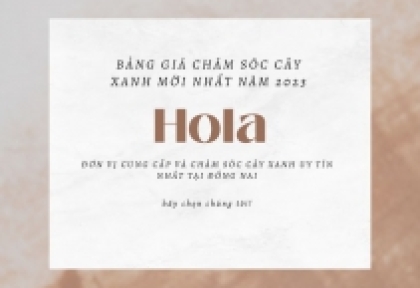 Bảng giá cho thuê cây xanh văn phòng mới nhất năm 2023