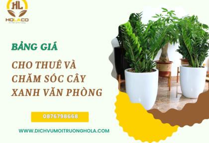 Bảng giá cho thuê và chăm sóc cây xanh văn phòng