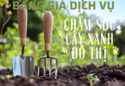 Bảng Giá Dịch Vụ Chăm Sóc Cây Xanh Đô Thị 2023