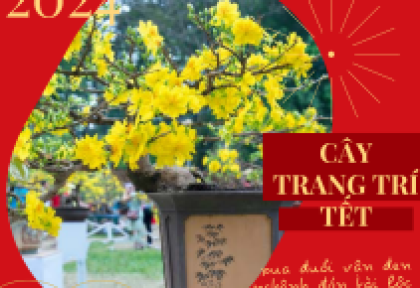 9 Loại Cây Trang Trí Tết, Xua Đuổi Vận Đen Và Nghênh Đón Tài Lộc