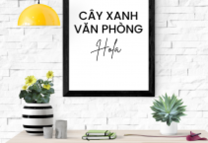 Kinh nghiệm chăm sóc cây xanh văn phòng tại Đồng Nai