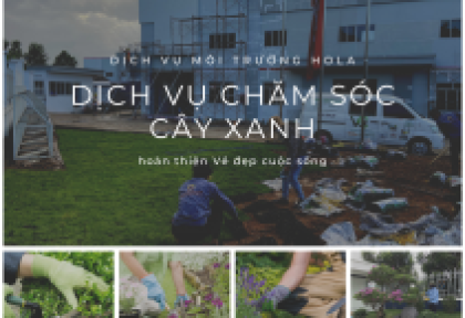 Bảng giá dịch vụ cung cấp nhân viên chăm sóc cây xanh 2023