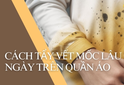 Cách Tẩy Vết Mốc Lâu Ngày Trên Quần Áo - Dịch vụ môi trường HOLA 