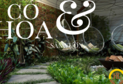 Mẹo trồng cỏ sân vườn - Một số dịch vụ cung cấp cỏ sân vườn tại Đồng Nai