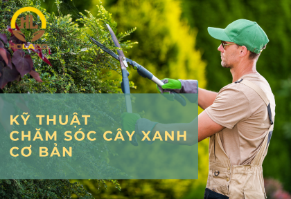 Hướng dẫn kỹ thuật chăm sóc cây xanh cơ bản