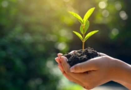 Đổi rác thải nhựa lấy cây xanh