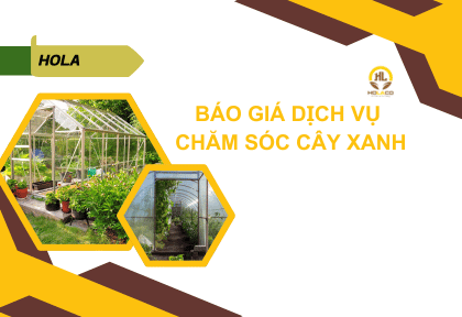 Báo giá dịch vụ chăm sóc cây cảnh, cây xanh sân vườn trọn gói