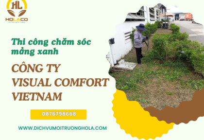 Thi công chăm sóc mảng xanh cho Công ty Visual Comfort Việt Nam