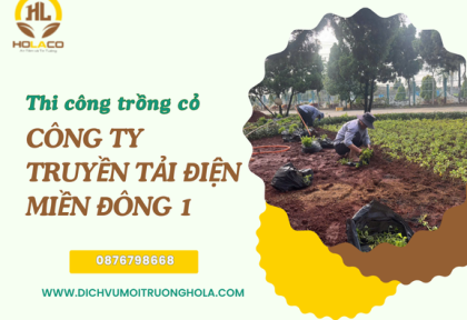 Thi công trồng cỏ cho Công ty Truyền tải điện 4 - Truyền tải điện miền Đông 1 