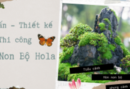 Tìm hiểu về hòn non bộ