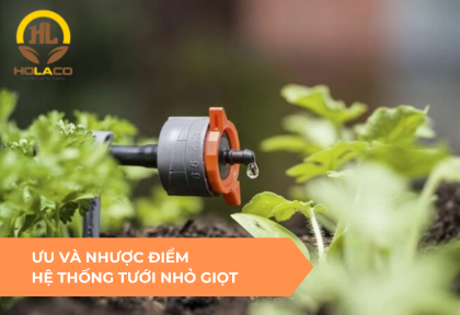 Ưu và nhược điểm của hệ thống tưới nhỏ giọt?