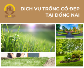 Dịch vụ trồng cỏ Chuyên nghiệp tại Đồng Nai