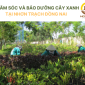 Chăm sóc và bảo dưỡng cây xanh Nhơn Trạch Đồng Nai