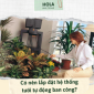 Có nên lắp đặt hệ thống tưới tự động ban công?