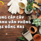 Cung cấp cây xanh văn phòng tại Đồng Nai