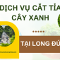 Dịch vụ cắt tỉa cây xanh tại Long Đức, Tỉnh Đồng Nai