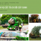 Di dời cây xanh