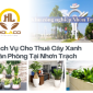 Dịch Vụ Cho Thuê Cây Xanh Văn Phòng Tại Nhơn Trạch