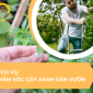 Dịch vụ chăm sóc cây xanh sân vườn uy tín chất lượng Dịch vụ chăm sóc cây xanh sân vườn uy tín chất lượng