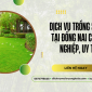 Dịch vụ trồng sân cỏ tại Đồng Nai – Chuyên nghiệp, bảo hành dài lâu