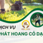 Dịch vụ phát hoang cỏ dại