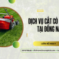 Dịch vụ cắt cỏ tại Đồng Nai giá rẻ, chuyên nghiệp Dịch vụ cắt cỏ tại Đồng Nai giá rẻ, chuyên nghiệp