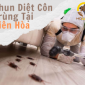 Phun Diệt Côn Trùng Tại Biên Hòa