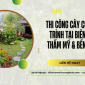 Thi công cây cỏ công trình tại Biên Hoà – Thẩm mỹ & bền vững