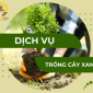 Dịch vụ trồng cây xanh công trình, sân vườn, tận nơi giá tốt