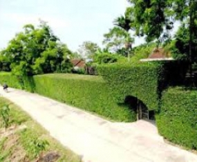 Chăm sóc cây xanh Đồng Nai Chăm sóc cây xanh Đồng Nai