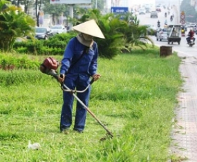 Dịch vụ cắt cỏ và phát hoang cỏ dại Dịch vụ cắt cỏ và phát hoang cỏ dại